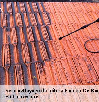 devis-nettoyage-de-toiture-dg-couverture