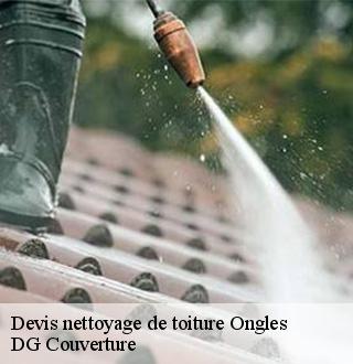 devis-nettoyage-de-toiture-dg-couverture