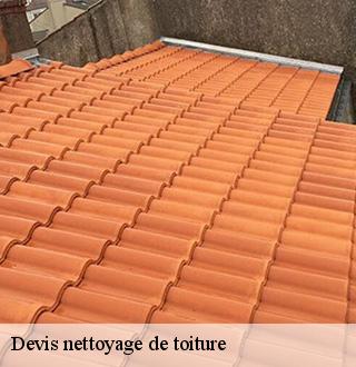 devis-nettoyage-de-toiture-dg-couverture