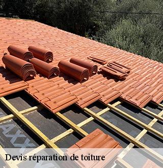 devis-reparation-de-toiture-dg-couverture