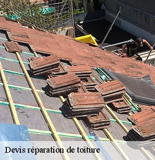 devis-reparation-de-toiture-dg-couverture