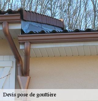 devis-pose-de-gouttiere-dg-couverture