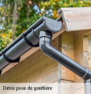 devis-pose-de-gouttiere-dg-couverture