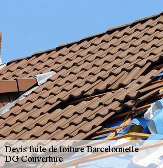 devis-fuite-de-toiture-dg-couverture