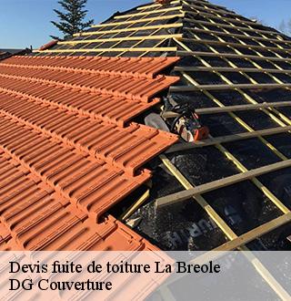 devis-fuite-de-toiture-dg-couverture