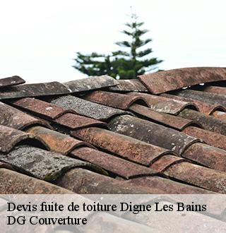 devis-fuite-de-toiture-dg-couverture