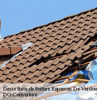 devis-fuite-de-toiture-dg-couverture