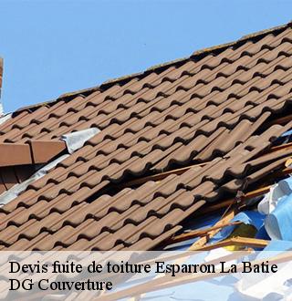 devis-fuite-de-toiture-dg-couverture