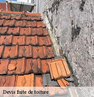 devis-fuite-de-toiture-dg-couverture