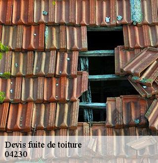 devis-fuite-de-toiture-dg-couverture
