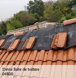 devis-fuite-de-toiture-dg-couverture