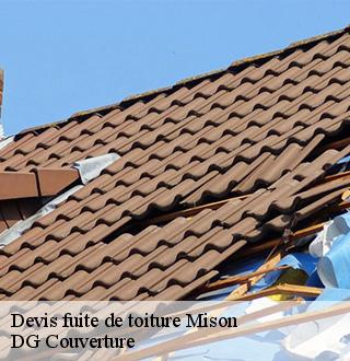 devis-fuite-de-toiture-dg-couverture