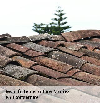 devis-fuite-de-toiture-dg-couverture