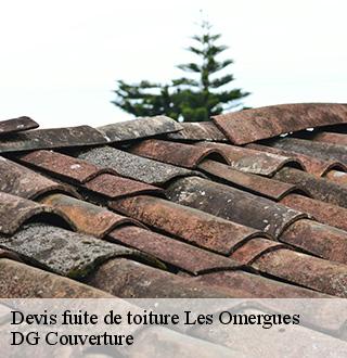 devis-fuite-de-toiture-dg-couverture