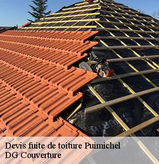 devis-fuite-de-toiture-dg-couverture