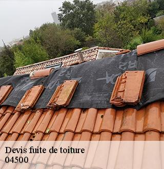 devis-fuite-de-toiture-dg-couverture