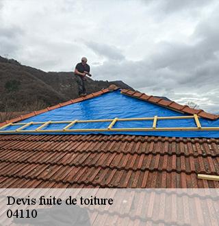 devis-fuite-de-toiture-dg-couverture