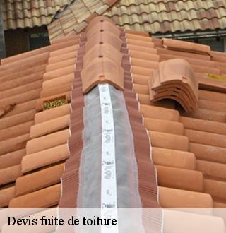 devis-fuite-de-toiture-dg-couverture
