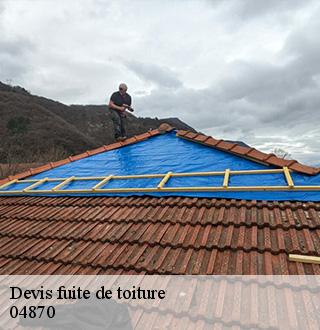 devis-fuite-de-toiture-dg-couverture