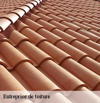 entreprise-de-toiture-dg-couverture