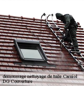 demoussage-nettoyage-de-tuile-dg-couverture