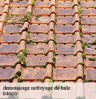 demoussage-nettoyage-de-tuile-dg-couverture