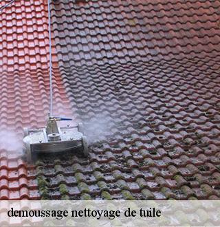 demoussage-nettoyage-de-tuile-dg-couverture