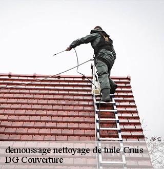 demoussage-nettoyage-de-tuile-dg-couverture