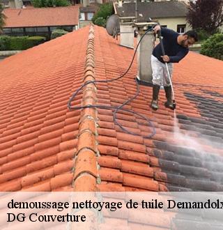 demoussage-nettoyage-de-tuile-dg-couverture