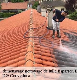 demoussage-nettoyage-de-tuile-dg-couverture