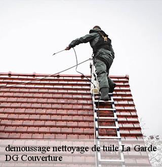 demoussage-nettoyage-de-tuile-dg-couverture