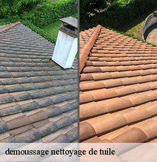 demoussage-nettoyage-de-tuile-dg-couverture