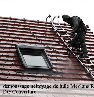 demoussage-nettoyage-de-tuile-dg-couverture