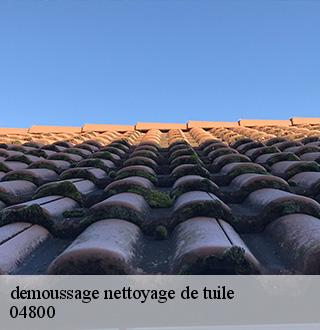 demoussage-nettoyage-de-tuile-dg-couverture
