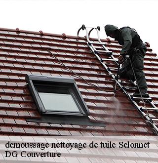 demoussage-nettoyage-de-tuile-dg-couverture