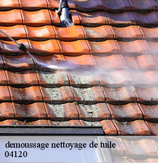 demoussage-nettoyage-de-tuile-dg-couverture
