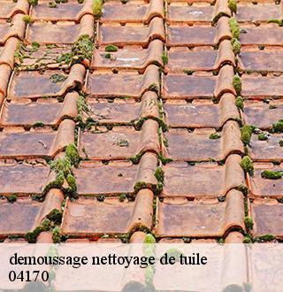 demoussage-nettoyage-de-tuile-dg-couverture