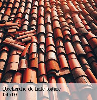 recherche-de-fuite-toiture-dg-couverture