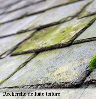 recherche-de-fuite-toiture-dg-couverture