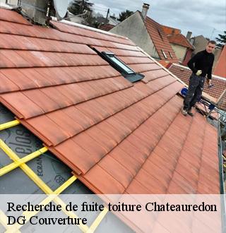 recherche-de-fuite-toiture-dg-couverture