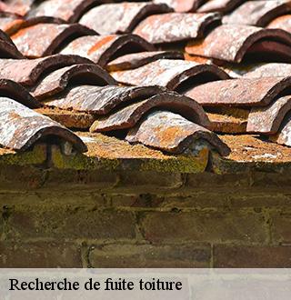 recherche-de-fuite-toiture-dg-couverture