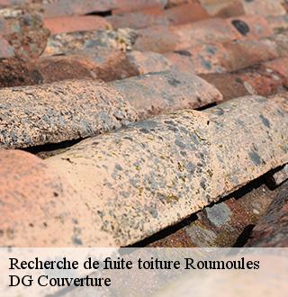 recherche-de-fuite-toiture-dg-couverture